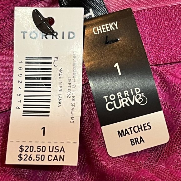 NWT TORRID Cheeky Pantie Underwear Sz 1X Pink Mesh - Picture 4 of 4